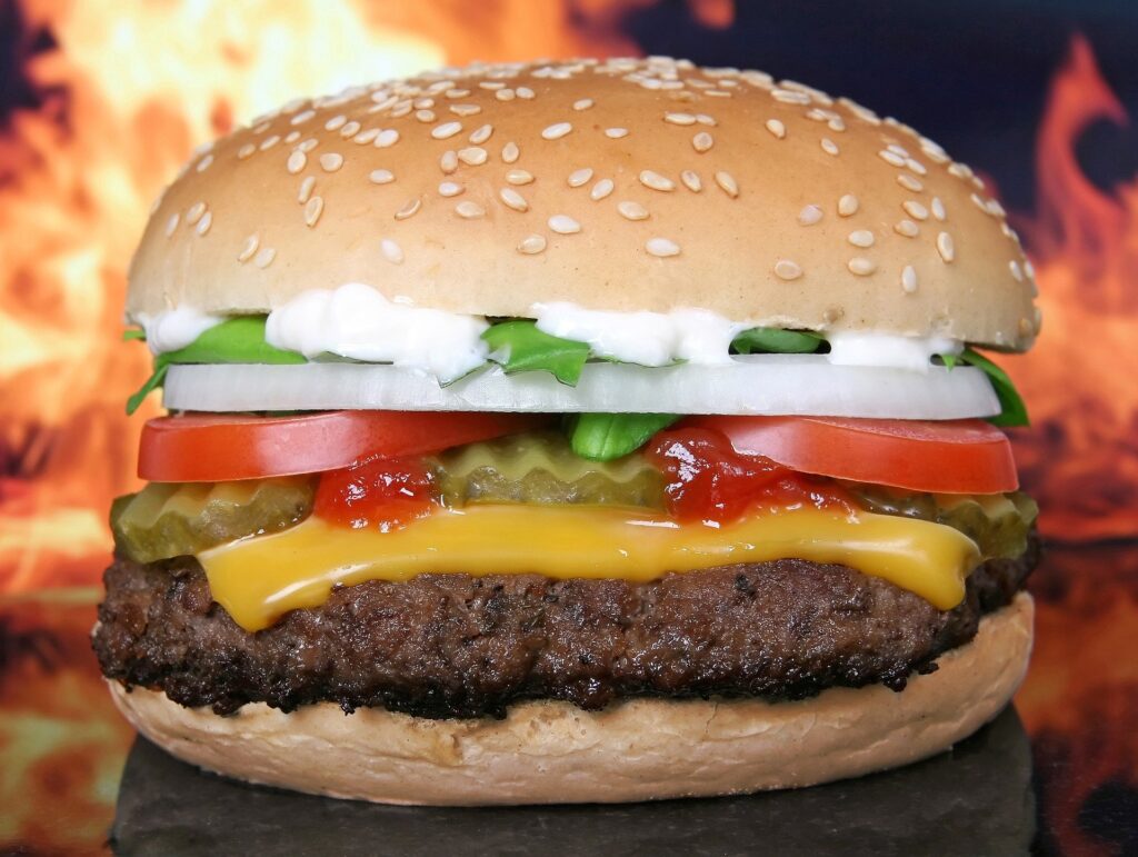 hamburger-1238246_1920